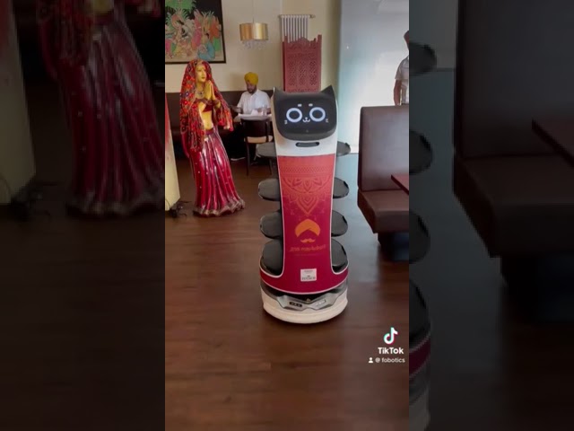 BellaBot im Restaurant Goa in Markdorf