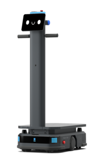 Pudu Lastenroboter T300