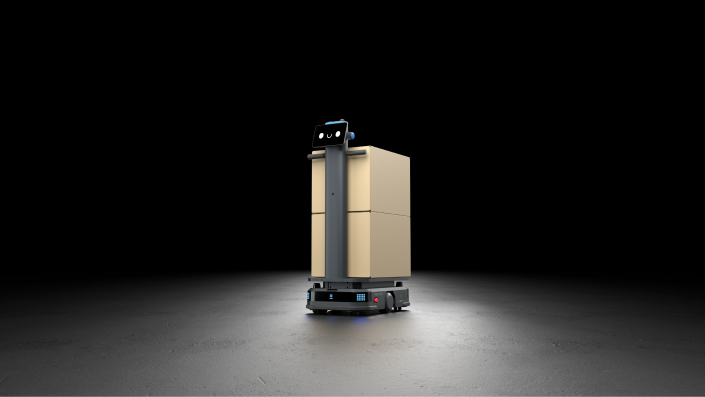 Pudu T300 Standard Mode